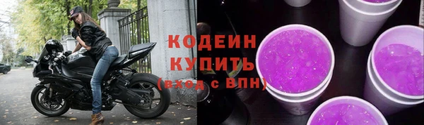шишки Горно-Алтайск