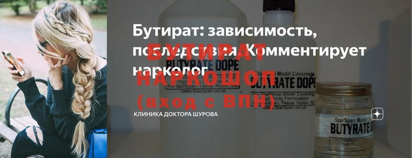 шишки Горно-Алтайск