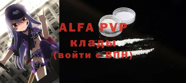 шишки Горно-Алтайск