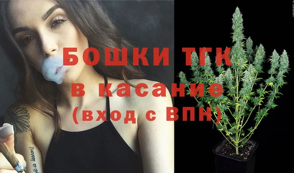 apvp Горняк