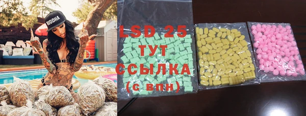 шишки Горно-Алтайск