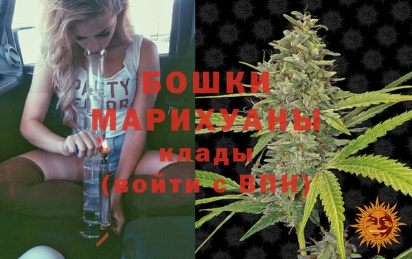 шишки Горно-Алтайск