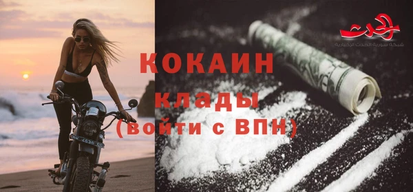 apvp Горняк