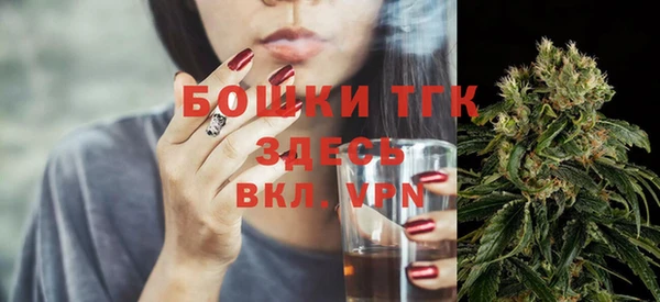 apvp Горняк