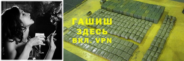apvp Горняк