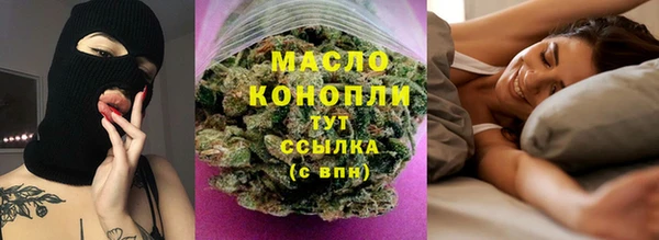 apvp Горняк
